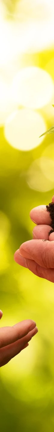 Successionistock 953772938EDITED2